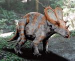 Utahceratops 。