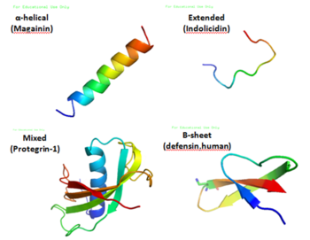 Diverse structuren van antimicrobiële peptiden