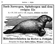 Advertisement of the company Bades Söhne (Wismar) for polar and Mediterranean voyages with the Thalia 1907