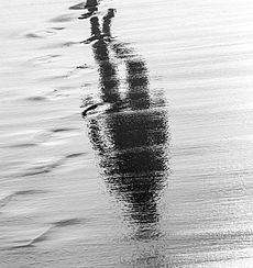 Een reflectie op zand en water