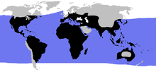 Distribution: land, water and pond turtles (black), sea turtles (blue)