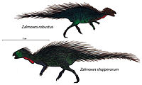 Een reconstructie van Zalmoxes robustus. De fossielen van deze dinosaurus, daterend uit het Opper-Krijt, zijn gevonden in de regio Haţeg.