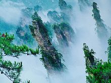 World Heritage in China: Wulingyuan rainforest with 3000 quartzite pillars on which, among others, Chinese pines grow, Hunan province, 2012