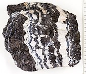 Banderz from Bad Grund with sphalerite (brown) and galenite (dark grey) as ore minerals and calcite (white) as gangue mineral.