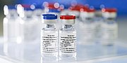 Den 5. december påbegynder Rusland massevaccinationer mod COVID-19 med den eksperimentelle Gam-COVID-Vac-vaccinkandidat  